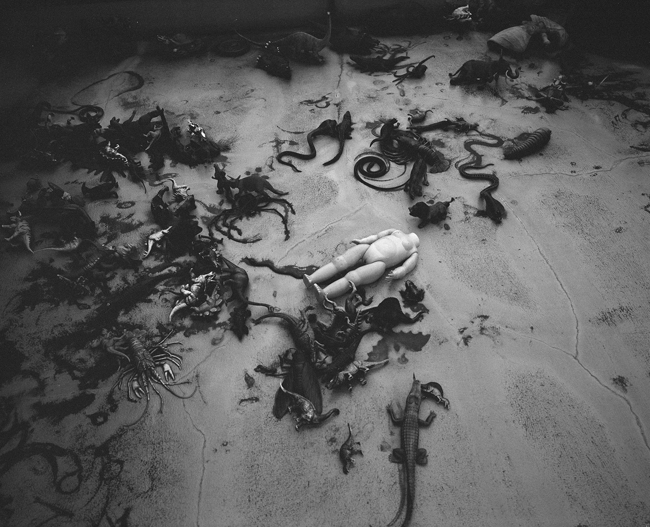 Nobuyoshi Araki, 